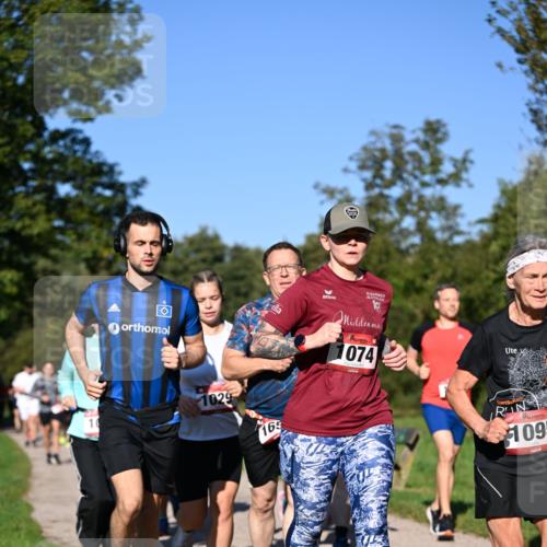 22.09.2024 - 32. Volkslauf durch das schöne Alstertal Dr. Thomas Lammeyer http://msf.ph/oto/7105427 22.09.2024 10:06:37 Laufen 10, 1029, 165, 10, 1074, 1095 meine-sportfotos.de