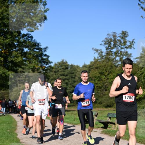22.09.2024 - 32. Volkslauf durch das schöne Alstertal Dr. Thomas Lammeyer http://msf.ph/oto/7105523 22.09.2024 10:06:46 Laufen 15, 1687, 1763, 1750 meine-sportfotos.de