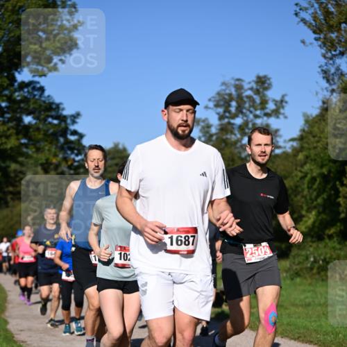 22.09.2024 - 32. Volkslauf durch das schöne Alstertal Dr. Thomas Lammeyer http://msf.ph/oto/7105545 22.09.2024 10:06:48 Laufen 10, 1687, 2509 meine-sportfotos.de