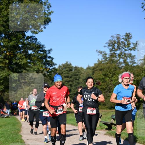 22.09.2024 - 32. Volkslauf durch das schöne Alstertal Dr. Thomas Lammeyer http://msf.ph/oto/7105592 22.09.2024 10:06:55 Laufen 2022, 1679, 1647, 663, 16, 1031 meine-sportfotos.de
