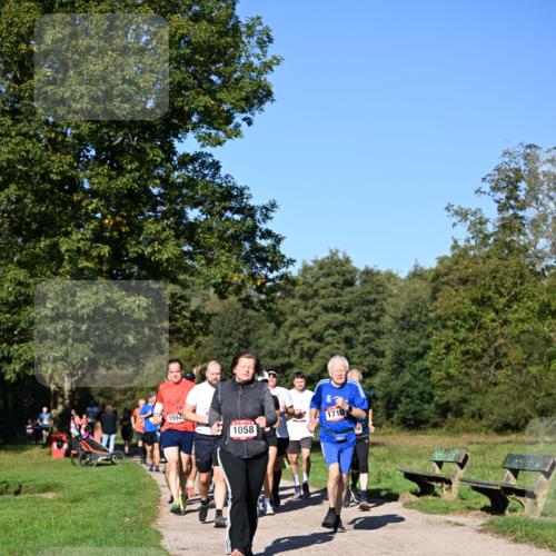 22.09.2024 - 32. Volkslauf durch das schöne Alstertal Dr. Thomas Lammeyer http://msf.ph/oto/7105635 22.09.2024 10:07:00 Laufen 1594, 1710, 1058 meine-sportfotos.de