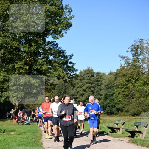 22.09.2024 - 32. Volkslauf durch das schöne Alstertal Dr. Thomas Lammeyer http://msf.ph/oto/7105639 22.09.2024 10:07:00 Laufen 1594, 16, 1707, 1710, 1058 meine-sportfotos.de