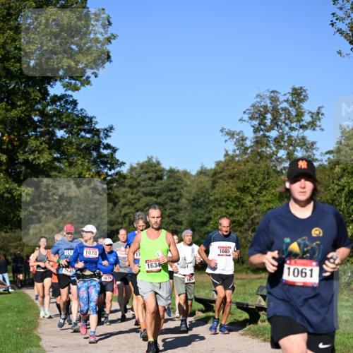 22.09.2024 - 32. Volkslauf durch das schöne Alstertal Dr. Thomas Lammeyer http://msf.ph/oto/7105731 22.09.2024 10:07:09 Laufen 1078, 165, 17, 1645, 1678, 1634, 1629, 1665, 1061 meine-sportfotos.de