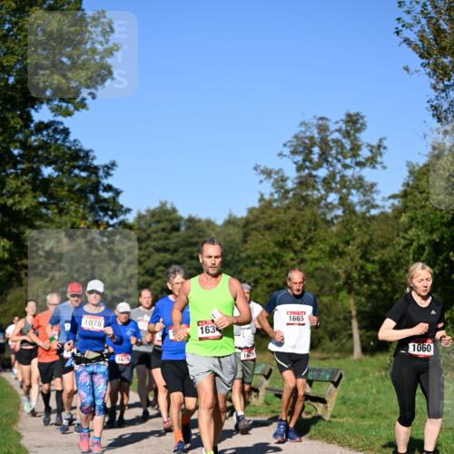 22.09.2024 - 32. Volkslauf durch das schöne Alstertal Dr. Thomas Lammeyer http://msf.ph/oto/7105742 22.09.2024 10:07:09 Laufen 1078, 1678, 163, 1665, 1060 meine-sportfotos.de