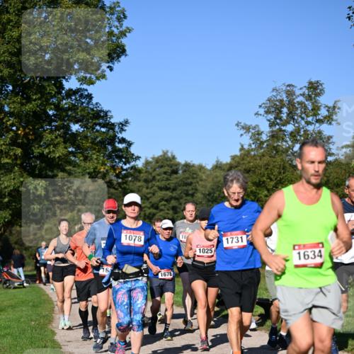 22.09.2024 - 32. Volkslauf durch das schöne Alstertal Dr. Thomas Lammeyer http://msf.ph/oto/7105755 22.09.2024 10:07:11 Laufen 1078, 16, 1678, 16, 1025, 1731, 1634 meine-sportfotos.de