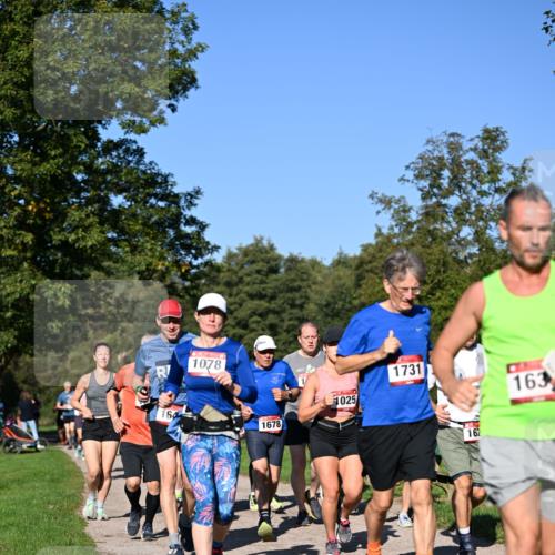 22.09.2024 - 32. Volkslauf durch das schöne Alstertal Dr. Thomas Lammeyer http://msf.ph/oto/7105759 22.09.2024 10:07:11 Laufen 1078, 1678, 1025, 1731, 163, 162 meine-sportfotos.de