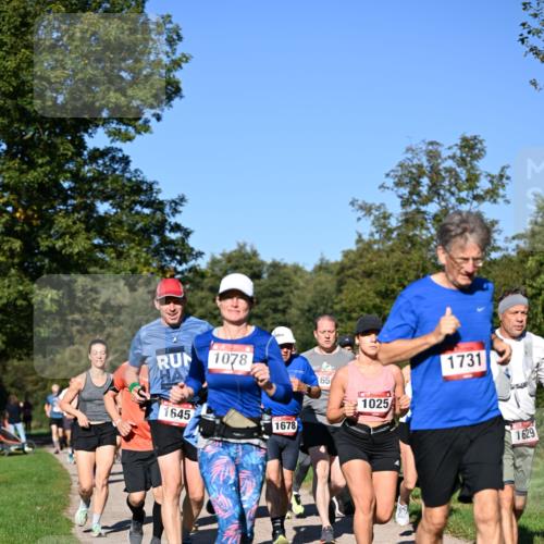 22.09.2024 - 32. Volkslauf durch das schöne Alstertal Dr. Thomas Lammeyer http://msf.ph/oto/7105765 22.09.2024 10:07:12 Laufen 2024, 1078, 1645, 1678, 65, 1025, 1731, 1629 meine-sportfotos.de