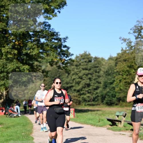 22.09.2024 - 32. Volkslauf durch das schöne Alstertal Dr. Thomas Lammeyer http://msf.ph/oto/7105819 22.09.2024 10:07:18 Laufen 67, 18, 105 meine-sportfotos.de