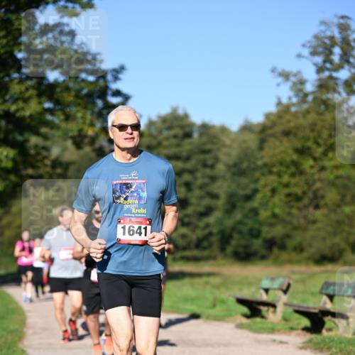 22.09.2024 - 32. Volkslauf durch das schöne Alstertal Dr. Thomas Lammeyer http://msf.ph/oto/7105878 22.09.2024 10:07:24 Laufen 18, 08, 2019, 1641 meine-sportfotos.de