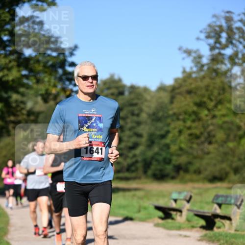 22.09.2024 - 32. Volkslauf durch das schöne Alstertal Dr. Thomas Lammeyer http://msf.ph/oto/7105880 22.09.2024 10:07:24 Laufen 2019, 10, 18, 08, 2019, 1641 meine-sportfotos.de