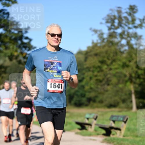 22.09.2024 - 32. Volkslauf durch das schöne Alstertal Dr. Thomas Lammeyer http://msf.ph/oto/7105886 22.09.2024 10:07:25 Laufen 416, 2019, 10, 18, 2019, 1641 meine-sportfotos.de