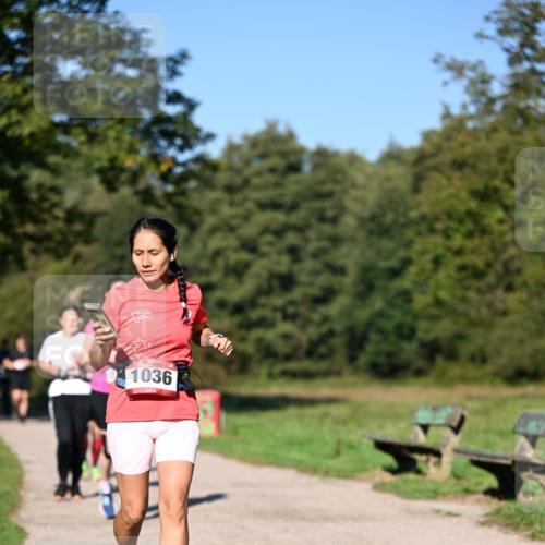 22.09.2024 - 32. Volkslauf durch das schöne Alstertal Dr. Thomas Lammeyer http://msf.ph/oto/7105939 22.09.2024 10:07:31 Laufen 1036 meine-sportfotos.de