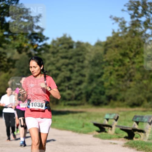 22.09.2024 - 32. Volkslauf durch das schöne Alstertal Dr. Thomas Lammeyer http://msf.ph/oto/7105943 22.09.2024 10:07:32 Laufen 1036 meine-sportfotos.de