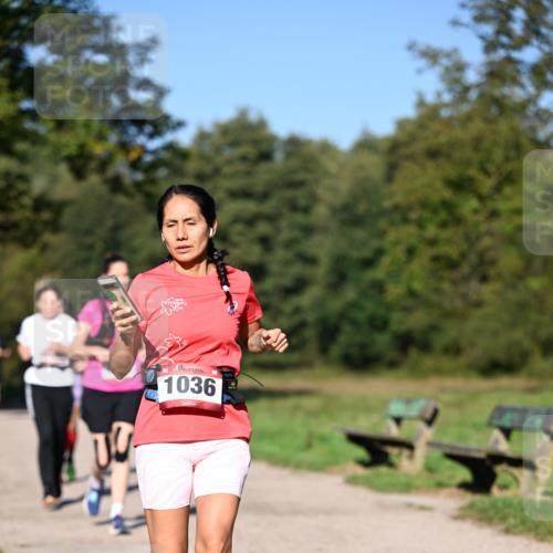 22.09.2024 - 32. Volkslauf durch das schöne Alstertal Dr. Thomas Lammeyer http://msf.ph/oto/7105950 22.09.2024 10:07:32 Laufen 1036 meine-sportfotos.de