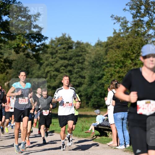22.09.2024 - 32. Volkslauf durch das schöne Alstertal Dr. Thomas Lammeyer http://msf.ph/oto/7106624 22.09.2024 10:25:22 Laufen 2318 meine-sportfotos.de