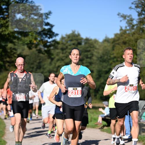 22.09.2024 - 32. Volkslauf durch das schöne Alstertal Dr. Thomas Lammeyer http://msf.ph/oto/7106634 22.09.2024 10:25:23 Laufen 2318, 2951, 7009 meine-sportfotos.de