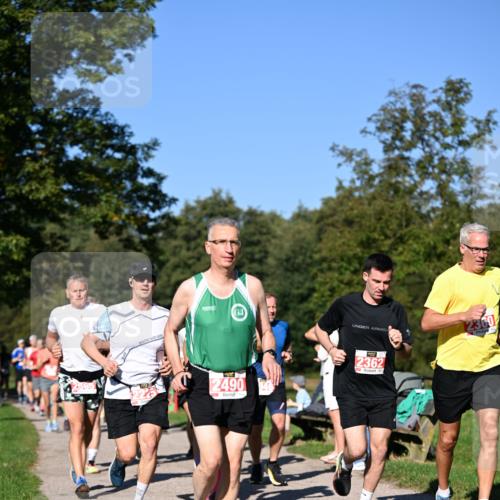 22.09.2024 - 32. Volkslauf durch das schöne Alstertal Dr. Thomas Lammeyer http://msf.ph/oto/7106745 22.09.2024 10:25:45 Laufen 2360, 2565, 2490, 2362 meine-sportfotos.de