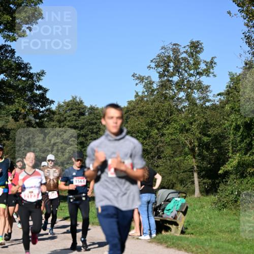 22.09.2024 - 32. Volkslauf durch das schöne Alstertal Dr. Thomas Lammeyer http://msf.ph/oto/7106869 22.09.2024 10:26:07 Laufen 2123, 249, 1561 meine-sportfotos.de