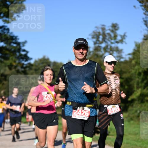 22.09.2024 - 32. Volkslauf durch das schöne Alstertal Dr. Thomas Lammeyer http://msf.ph/oto/7106886 22.09.2024 10:26:10 Laufen 220, 2426, 2493 meine-sportfotos.de