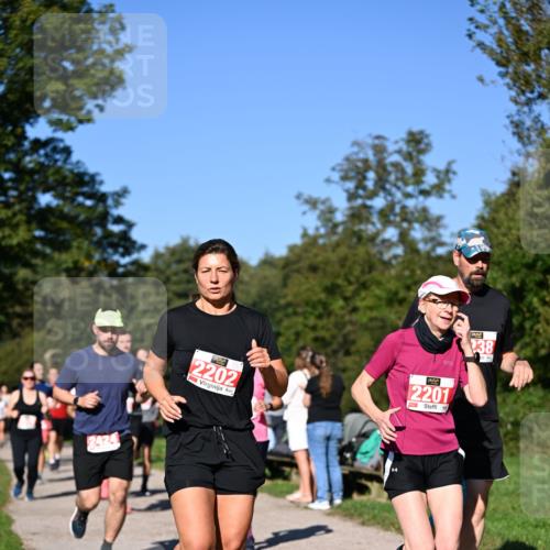 22.09.2024 - 32. Volkslauf durch das schöne Alstertal Dr. Thomas Lammeyer http://msf.ph/oto/7107100 22.09.2024 10:26:53 Laufen 238, 2202, 2201 meine-sportfotos.de