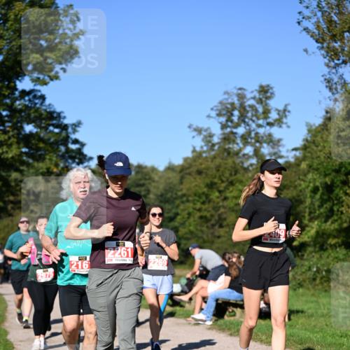 22.09.2024 - 32. Volkslauf durch das schöne Alstertal Dr. Thomas Lammeyer http://msf.ph/oto/7107492 22.09.2024 10:28:22 Laufen  meine-sportfotos.de