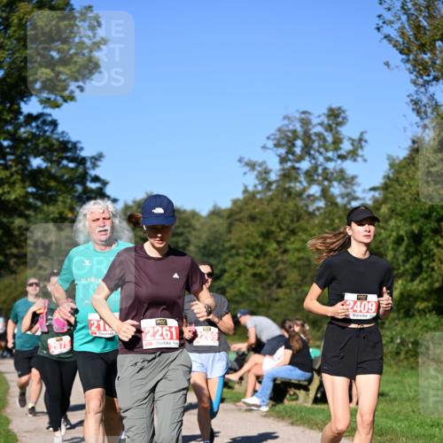 22.09.2024 - 32. Volkslauf durch das schöne Alstertal Dr. Thomas Lammeyer http://msf.ph/oto/7107493 22.09.2024 10:28:22 Laufen 25, 21, 2261, 269, 2409 meine-sportfotos.de