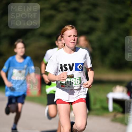 22.09.2024 - 32. Volkslauf durch das schöne Alstertal Dr. Thomas Lammeyer http://msf.ph/oto/7109076 22.09.2024 10:39:58 Laufen 086 meine-sportfotos.de