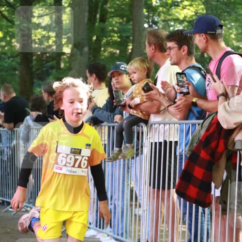 22.09.2024 - 32. Volkslauf durch das schöne Alstertal H.Heesch http://msf.ph/oto/7109790 22.09.2024 10:42:57 Ziel  meine-sportfotos.de