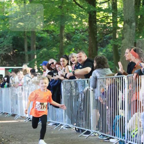 22.09.2024 - 32. Volkslauf durch das schöne Alstertal H.Heesch http://msf.ph/oto/7109806 22.09.2024 10:43:04 Ziel  meine-sportfotos.de
