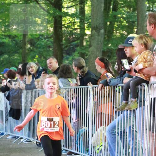 22.09.2024 - 32. Volkslauf durch das schöne Alstertal H.Heesch http://msf.ph/oto/7109809 22.09.2024 10:43:05 Ziel  meine-sportfotos.de