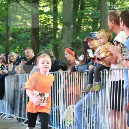 22.09.2024 - 32. Volkslauf durch das schöne Alstertal H.Heesch http://msf.ph/oto/7109812 22.09.2024 10:43:05 Ziel  meine-sportfotos.de