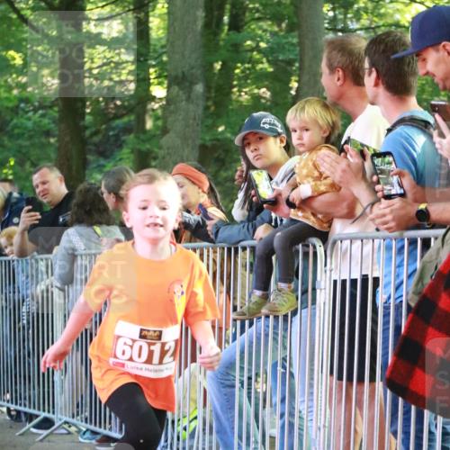 22.09.2024 - 32. Volkslauf durch das schöne Alstertal H.Heesch http://msf.ph/oto/7109816 22.09.2024 10:43:05 Ziel  meine-sportfotos.de