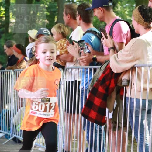 22.09.2024 - 32. Volkslauf durch das schöne Alstertal H.Heesch http://msf.ph/oto/7109820 22.09.2024 10:43:06 Ziel  meine-sportfotos.de