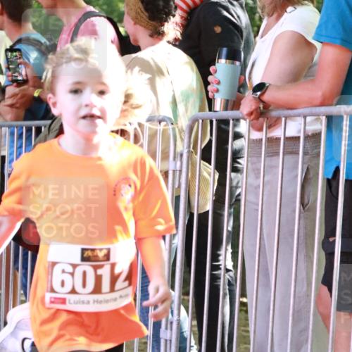 22.09.2024 - 32. Volkslauf durch das schöne Alstertal H.Heesch http://msf.ph/oto/7109826 22.09.2024 10:43:06 Ziel  meine-sportfotos.de