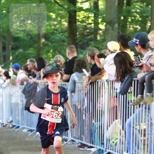 22.09.2024 - 32. Volkslauf durch das schöne Alstertal H.Heesch http://msf.ph/oto/7109865 22.09.2024 10:43:27 Ziel  meine-sportfotos.de