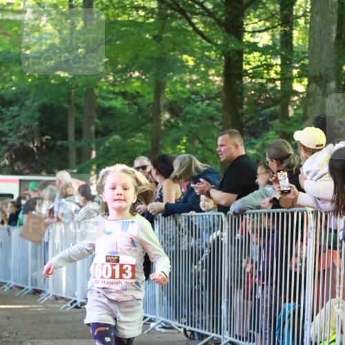 22.09.2024 - 32. Volkslauf durch das schöne Alstertal H.Heesch http://msf.ph/oto/7109878 22.09.2024 10:43:30 Ziel  meine-sportfotos.de