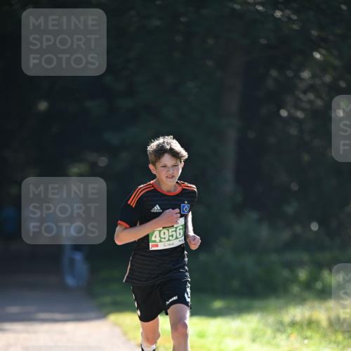 22.09.2024 - 32. Volkslauf durch das schöne Alstertal Dr. Thomas Lammeyer http://msf.ph/oto/7109894 22.09.2024 10:48:00 Laufen 4956 meine-sportfotos.de
