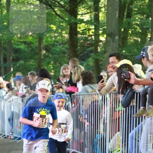 22.09.2024 - 32. Volkslauf durch das schöne Alstertal H.Heesch http://msf.ph/oto/7109896 22.09.2024 10:43:35 Ziel  meine-sportfotos.de
