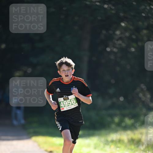 22.09.2024 - 32. Volkslauf durch das schöne Alstertal Dr. Thomas Lammeyer http://msf.ph/oto/7109897 22.09.2024 10:48:00 Laufen 4956 meine-sportfotos.de