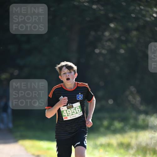 22.09.2024 - 32. Volkslauf durch das schöne Alstertal Dr. Thomas Lammeyer http://msf.ph/oto/7109900 22.09.2024 10:48:00 Laufen 4956, 1 meine-sportfotos.de