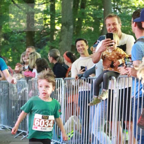 22.09.2024 - 32. Volkslauf durch das schöne Alstertal H.Heesch http://msf.ph/oto/7109926 22.09.2024 10:43:39 Ziel  meine-sportfotos.de