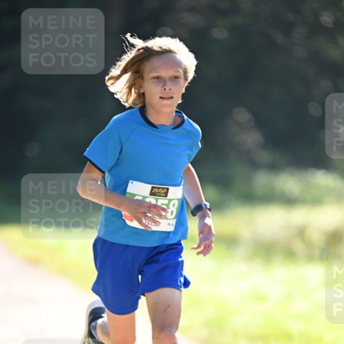 22.09.2024 - 32. Volkslauf durch das schöne Alstertal Dr. Thomas Lammeyer http://msf.ph/oto/7109959 22.09.2024 10:48:22 Laufen 58, 9 meine-sportfotos.de