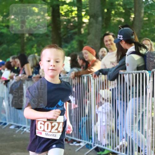 22.09.2024 - 32. Volkslauf durch das schöne Alstertal H.Heesch http://msf.ph/oto/7109993 22.09.2024 10:43:56 Ziel  meine-sportfotos.de