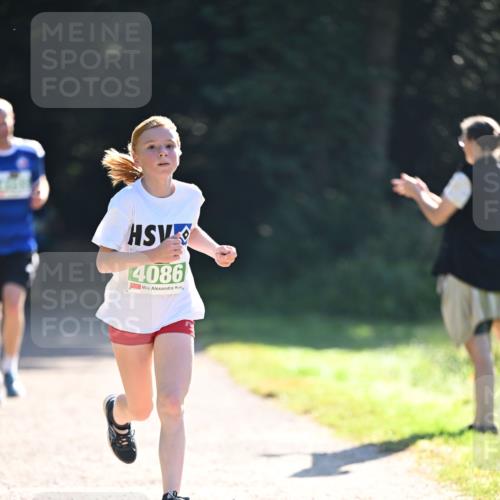22.09.2024 - 32. Volkslauf durch das schöne Alstertal Dr. Thomas Lammeyer http://msf.ph/oto/7110018 22.09.2024 10:49:11 Laufen 4086 meine-sportfotos.de