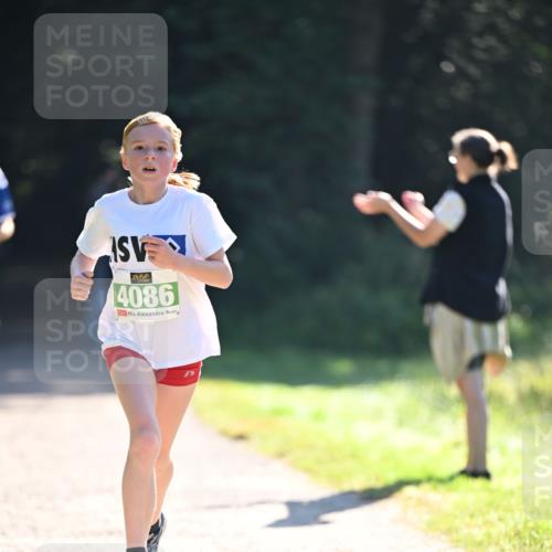 22.09.2024 - 32. Volkslauf durch das schöne Alstertal Dr. Thomas Lammeyer http://msf.ph/oto/7110021 22.09.2024 10:49:11 Laufen 4086 meine-sportfotos.de