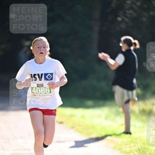 22.09.2024 - 32. Volkslauf durch das schöne Alstertal Dr. Thomas Lammeyer http://msf.ph/oto/7110022 22.09.2024 10:49:12 Laufen 4086 meine-sportfotos.de