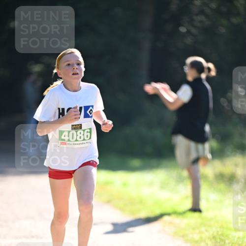 22.09.2024 - 32. Volkslauf durch das schöne Alstertal Dr. Thomas Lammeyer http://msf.ph/oto/7110024 22.09.2024 10:49:12 Laufen 4086 meine-sportfotos.de