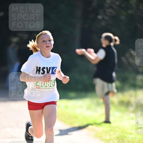 22.09.2024 - 32. Volkslauf durch das schöne Alstertal Dr. Thomas Lammeyer http://msf.ph/oto/7110025 22.09.2024 10:49:12 Laufen 4086 meine-sportfotos.de