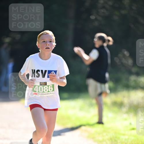22.09.2024 - 32. Volkslauf durch das schöne Alstertal Dr. Thomas Lammeyer http://msf.ph/oto/7110027 22.09.2024 10:49:12 Laufen 4086 meine-sportfotos.de