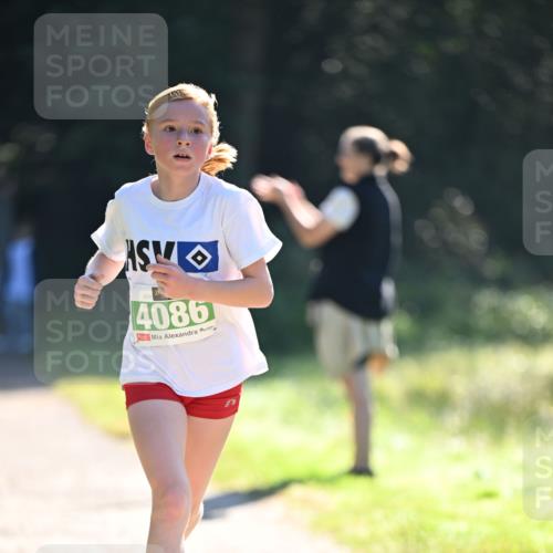 22.09.2024 - 32. Volkslauf durch das schöne Alstertal Dr. Thomas Lammeyer http://msf.ph/oto/7110028 22.09.2024 10:49:12 Laufen 4086 meine-sportfotos.de